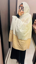 Cream & Off white Designer Embroidered Dupatta, with beautiful lace & handwork.