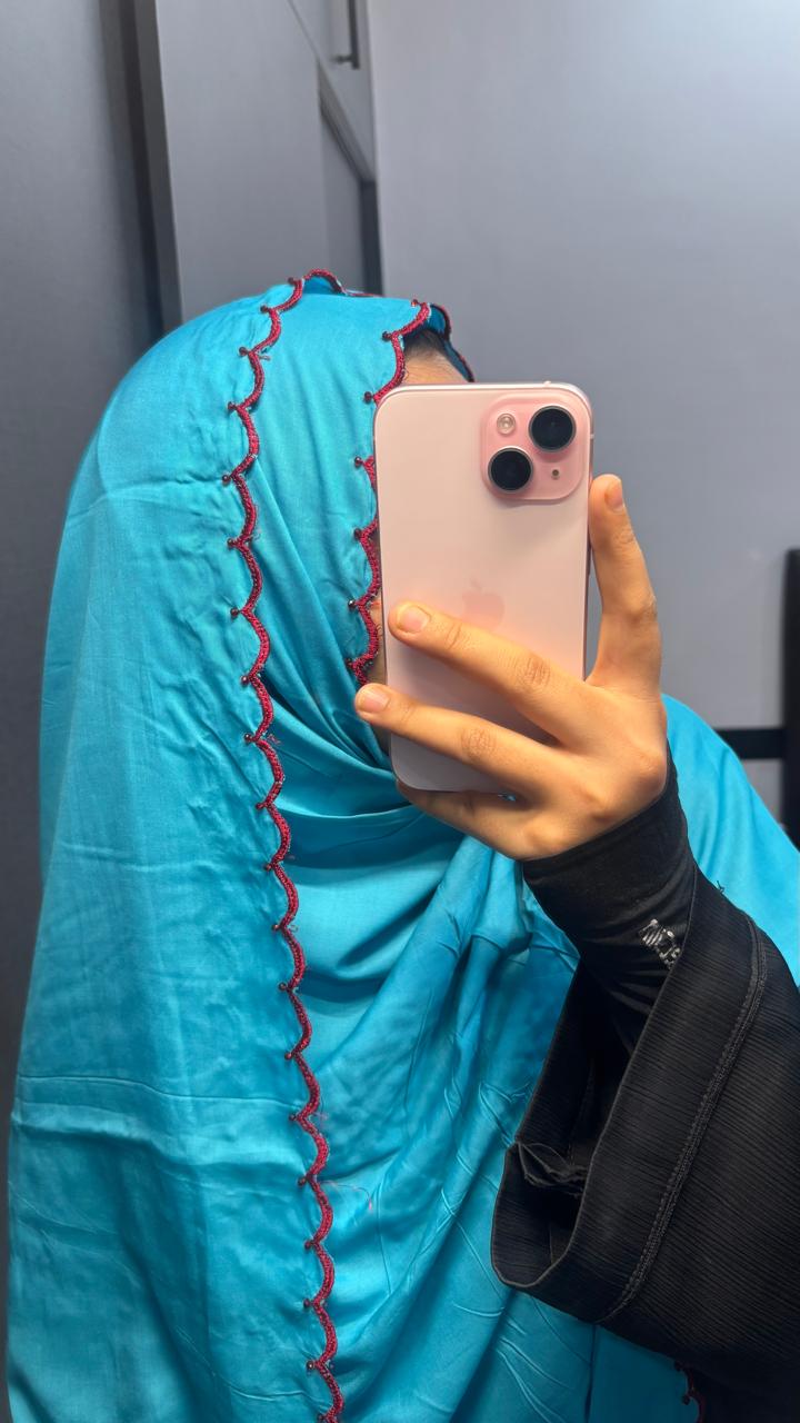 Baby Blue Dupatta with four side Embroidery