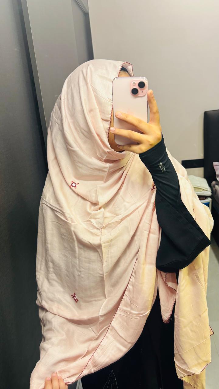 Basic Embroidered dupatta - Baby pink
