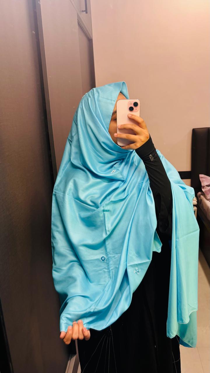Basic Embroidered dupatta - sky Blue