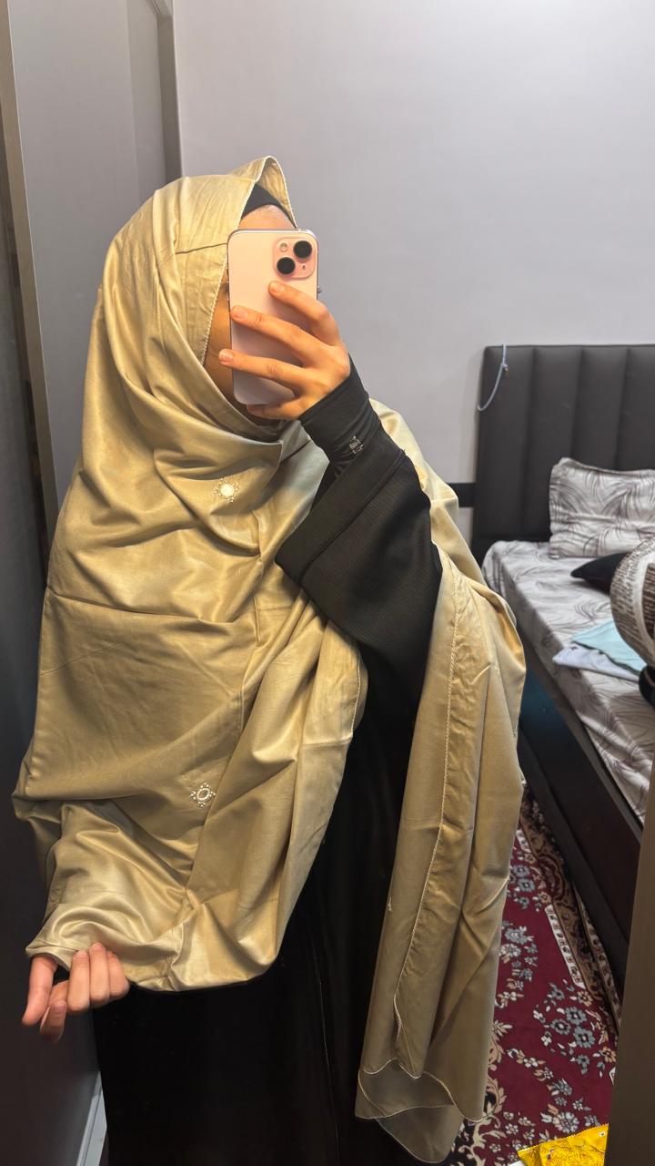 Basic Embroidered dupatta - Beige