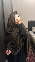 Basic Embroidered dupatta - Brown