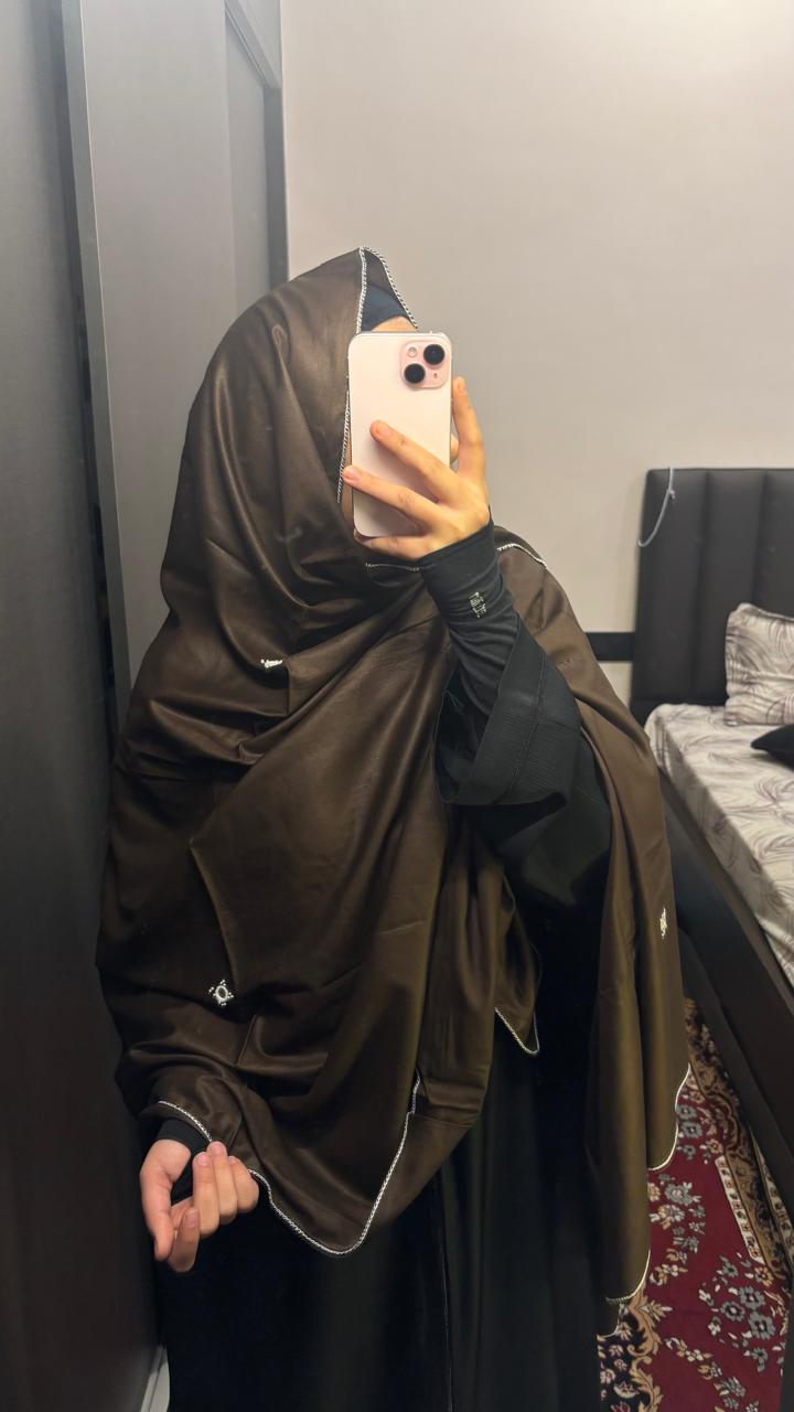 Basic Embroidered dupatta - Brown