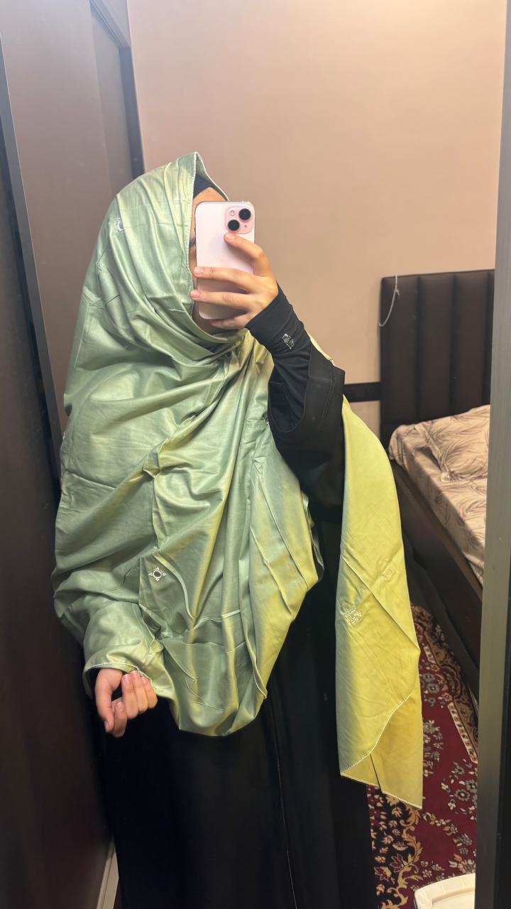 Basic Embroidered dupatta - Pastel green