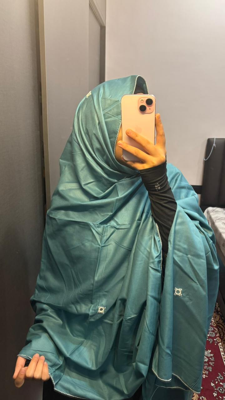 Basic Embroidered Dupatta